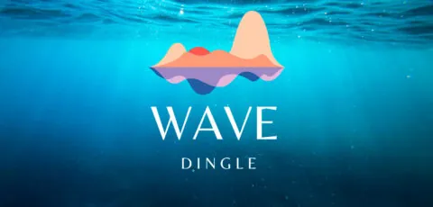 wave dingle