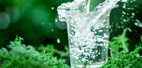 eau robinet