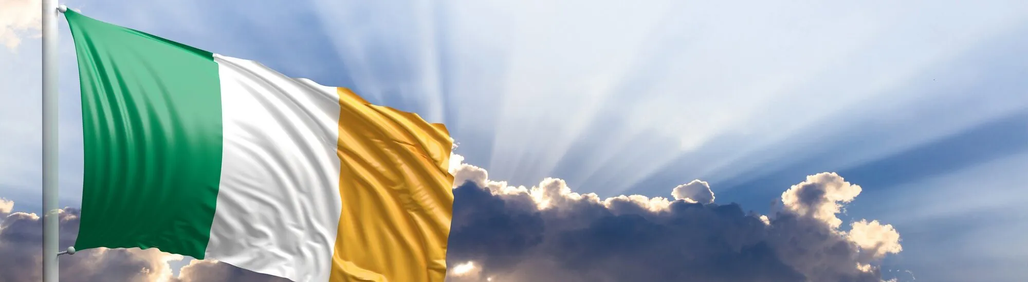 Die irische Flagge