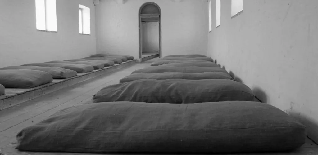 the irish workhouse centre