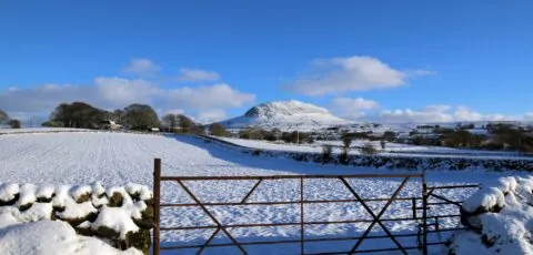 slemish