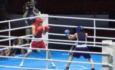 katie taylor