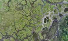 Mulranny Salt Marsh © Big Style Media - Fáilte Ireland