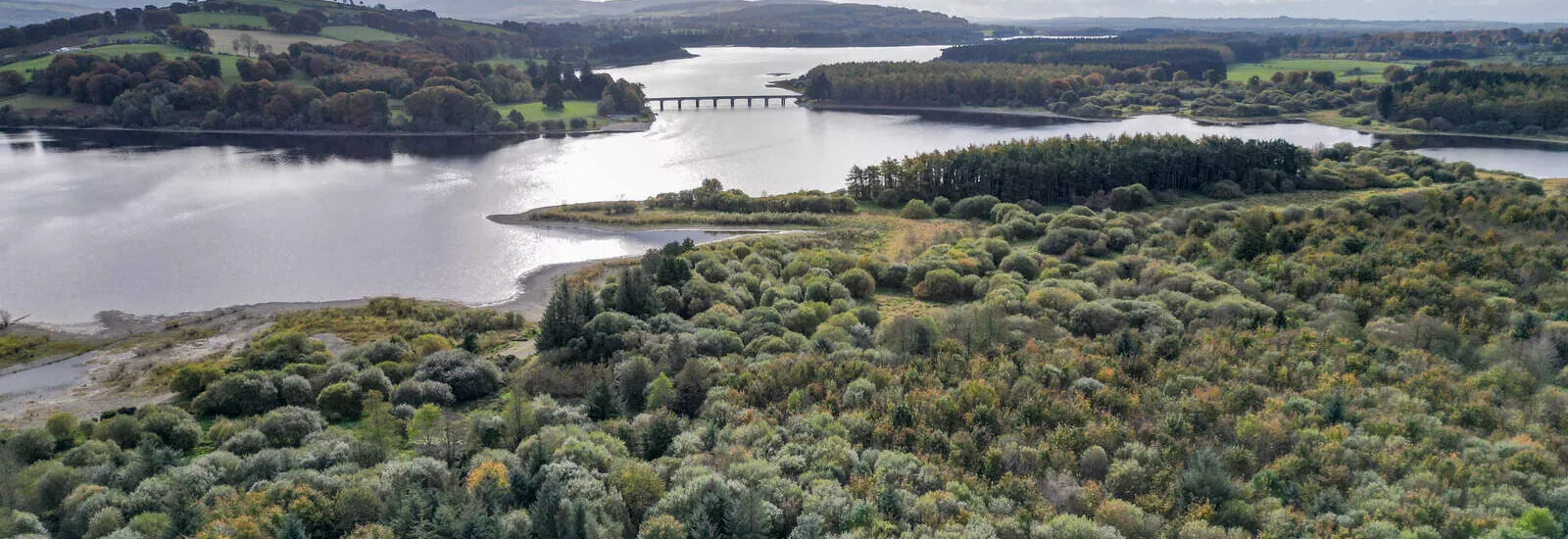 Das Pollaphuca Reservoir