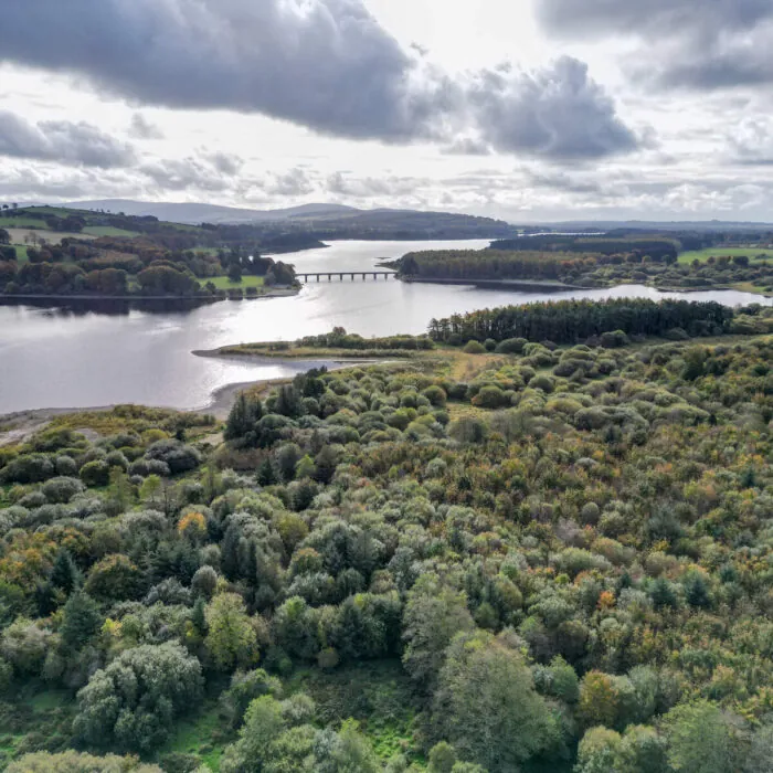 Das Poulaphouca Reservoir - © Sonder Visual - Fáilte Ireland