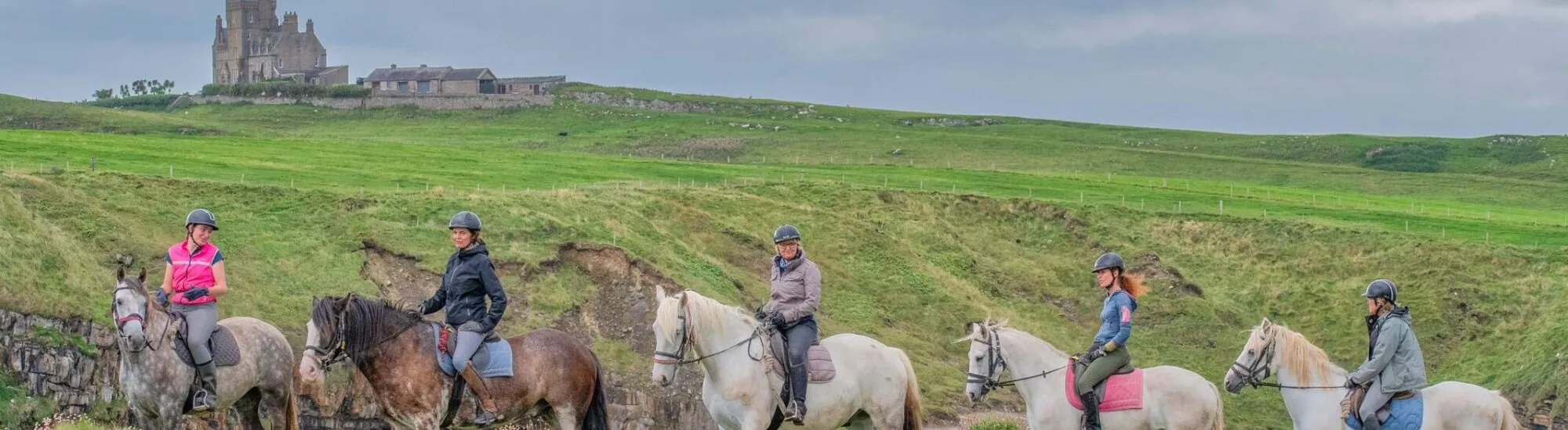 Haras in Irland finden, um während Ihres Aufenthalts reiten zu gehen