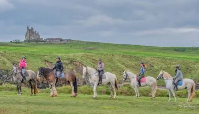 Haras in Irland finden, um während Ihres Aufenthalts reiten zu gehen