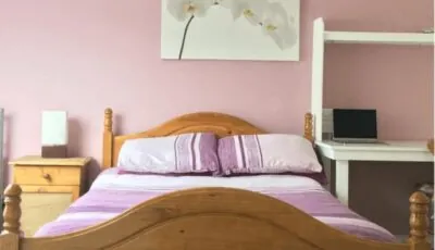 AVONDALE ACCOMMODATION