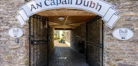An Capall Dubh BB Dingle