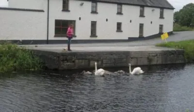Ballycommon House