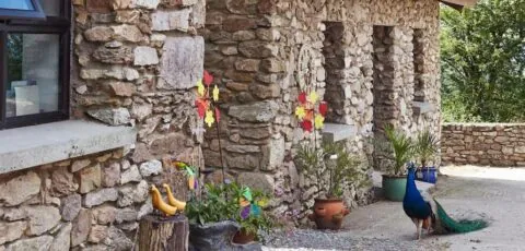 Kingsford renovated old cottage