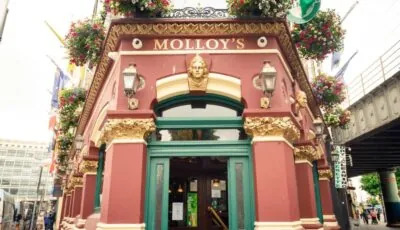 Molloys Apartments