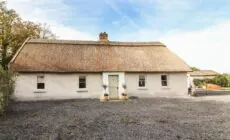 New Thatch Farm