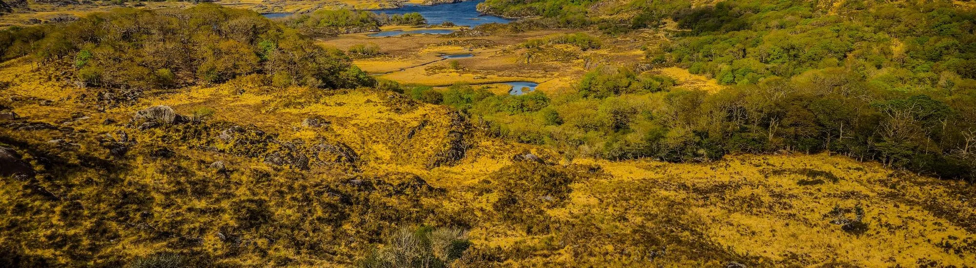 Die schönsten Wanderungen im Killarney-Nationalpark