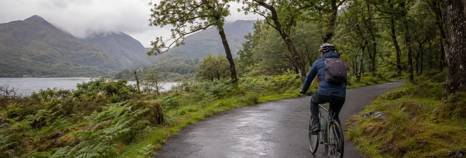 Den Killarney-Nationalpark mit dem Fahrrad erkunden