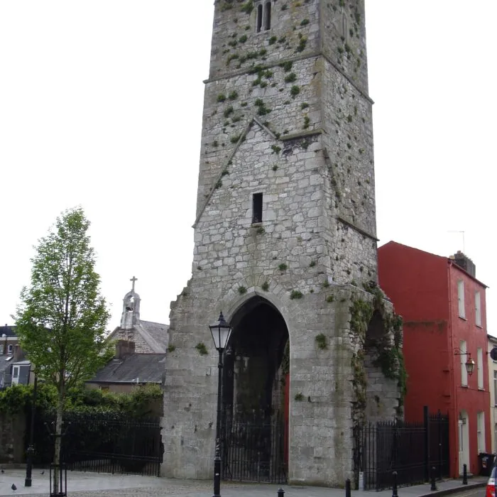 Red Abbey 1 Tour médiévale de Red Abbey à Cork