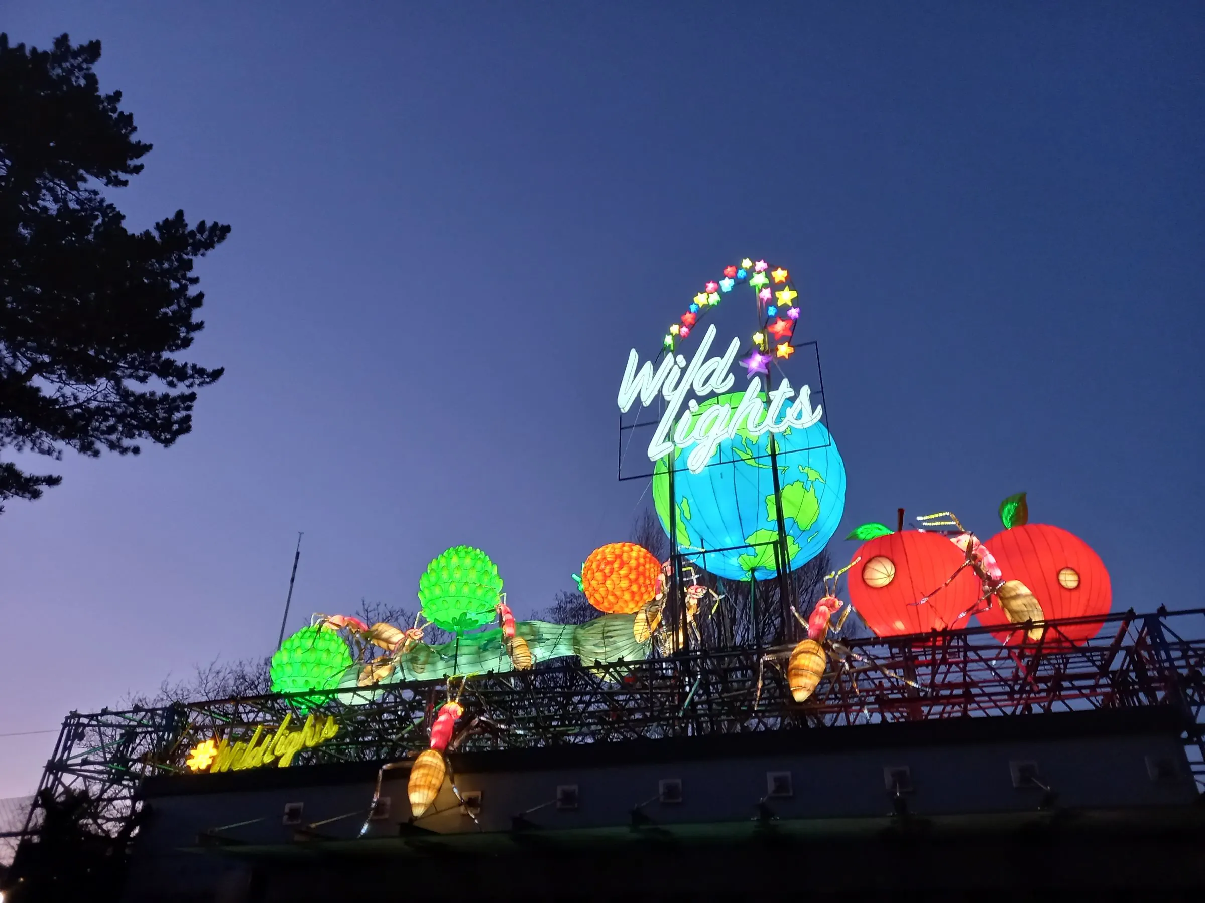 Wild Lights im Dublin Zoo